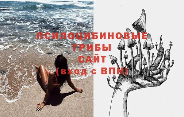 героин Алексин