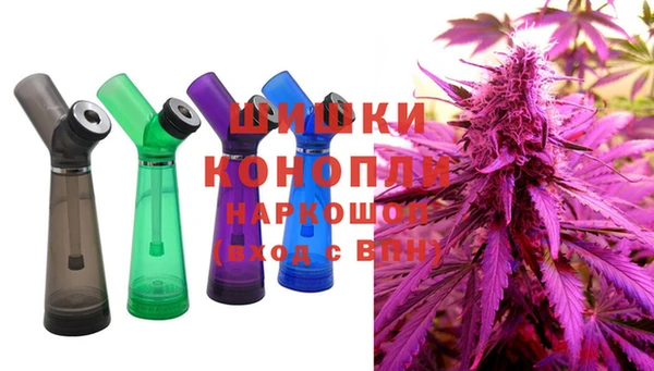 spice Алзамай