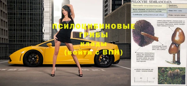 spice Алзамай