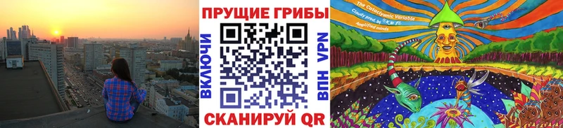 Псилоцибиновые грибы мухоморы  купить наркотик  Себеж 