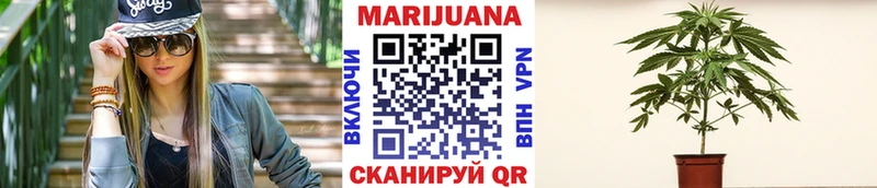 сайты даркнета телеграм наркошоп Себеж Канабис семена